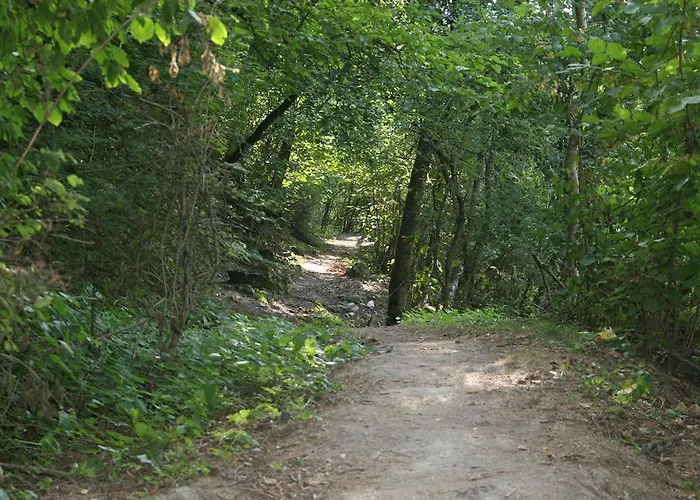 ベッド・アンド・ブレックファスト Cafe De La Poste