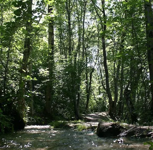 Cafe De La Poste Alojamento de Acomodação e Pequeno-almoço 3*