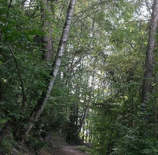 Cafe De La Poste Alojamento de Acomodação e Pequeno-almoço