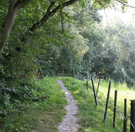 ベッド・アンド・ブレックファスト Cafe De La Poste Agettes